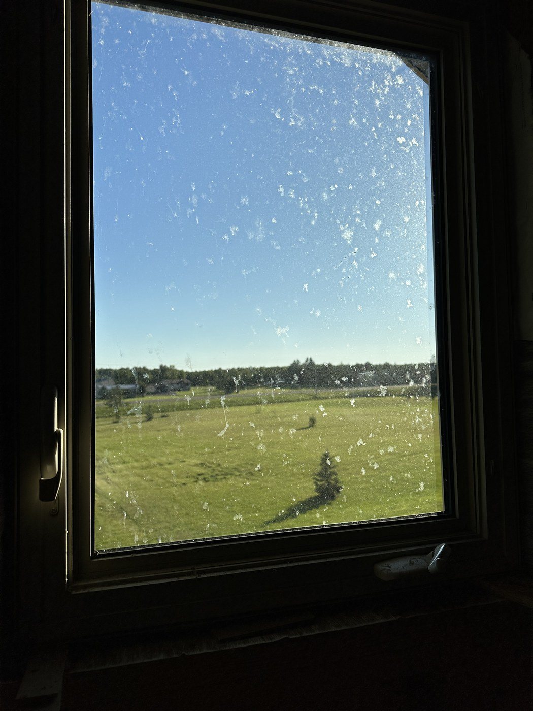 Before: Water-spotted glass, and the view behind it on a North Shore home